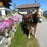 Haus Bucher *