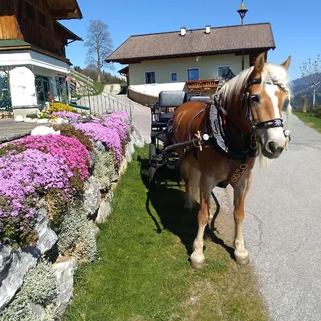 Haus Bucher *