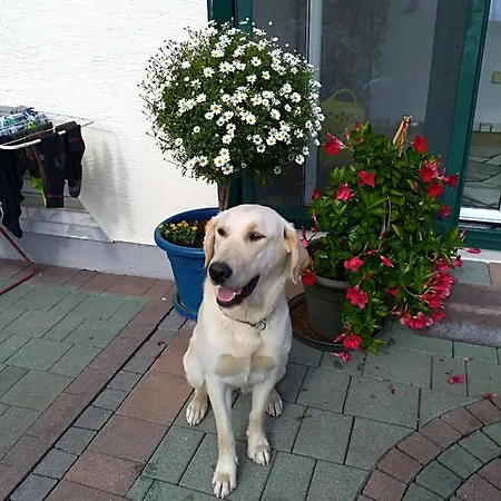 公寓 Haus Bucher 瓦格赖恩