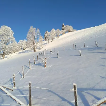 Haus Bucher 公寓 瓦格赖恩