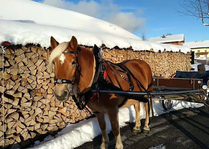 Apartmán Haus Bucher
