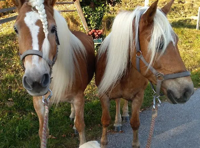 Haus Bucher Apartmán *