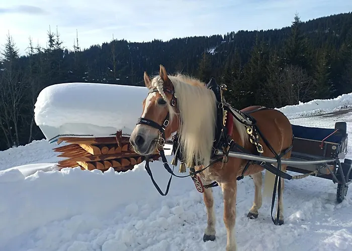 Haus Bucher Apartmán